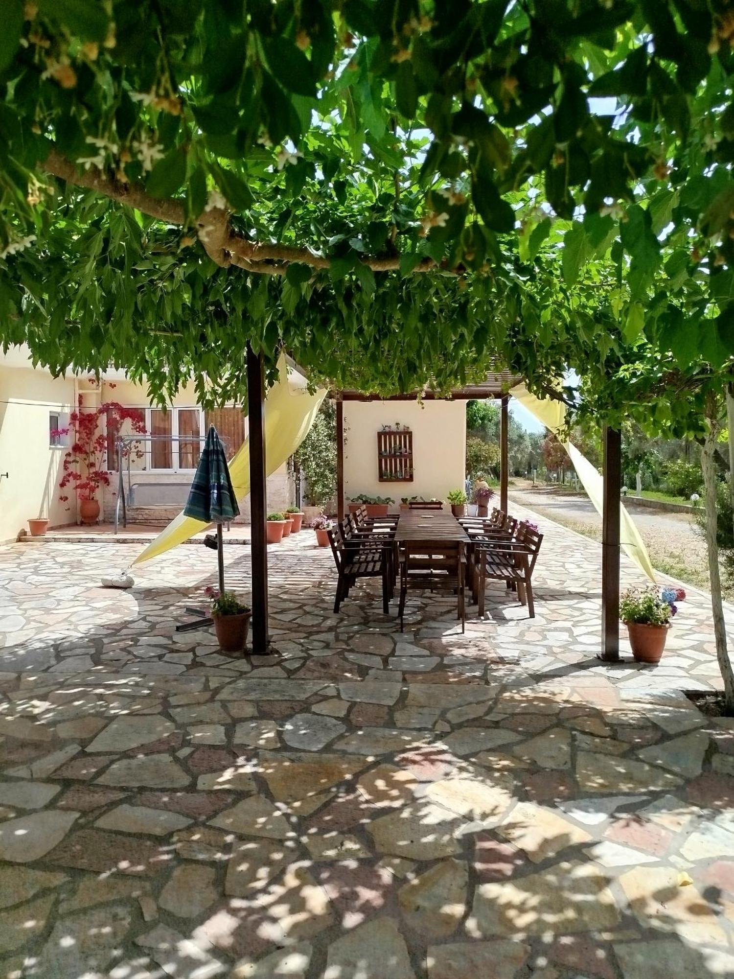 Riverside αpartments Βασιλική